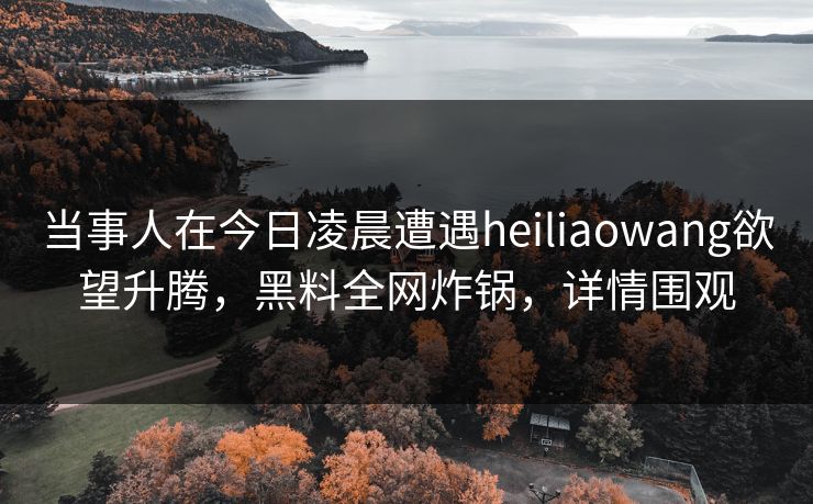 当事人在今日凌晨遭遇heiliaowang欲望升腾，黑料全网炸锅，详情围观