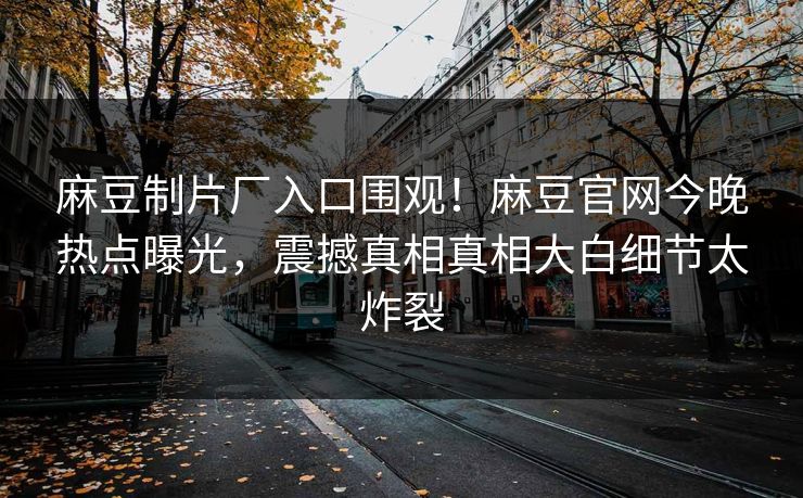 麻豆制片厂入口围观！麻豆官网今晚热点曝光，震撼真相真相大白细节太炸裂