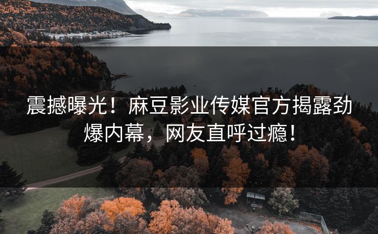 震撼曝光！麻豆影业传媒官方揭露劲爆内幕，网友直呼过瘾！
