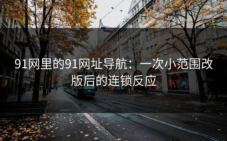 91网里的91网址导航：一次小范围改版后的连锁反应